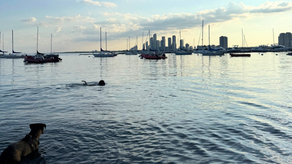 Moving to Canada: Yasmin’s Top Highlights Exploring Ontario