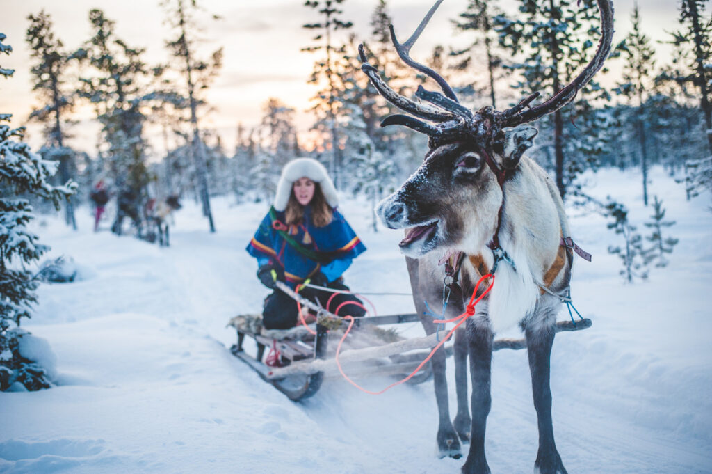 How to Plan a Family Holiday to Lapland