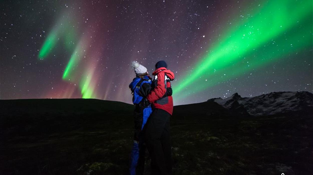 Aurora Safari by Minibus