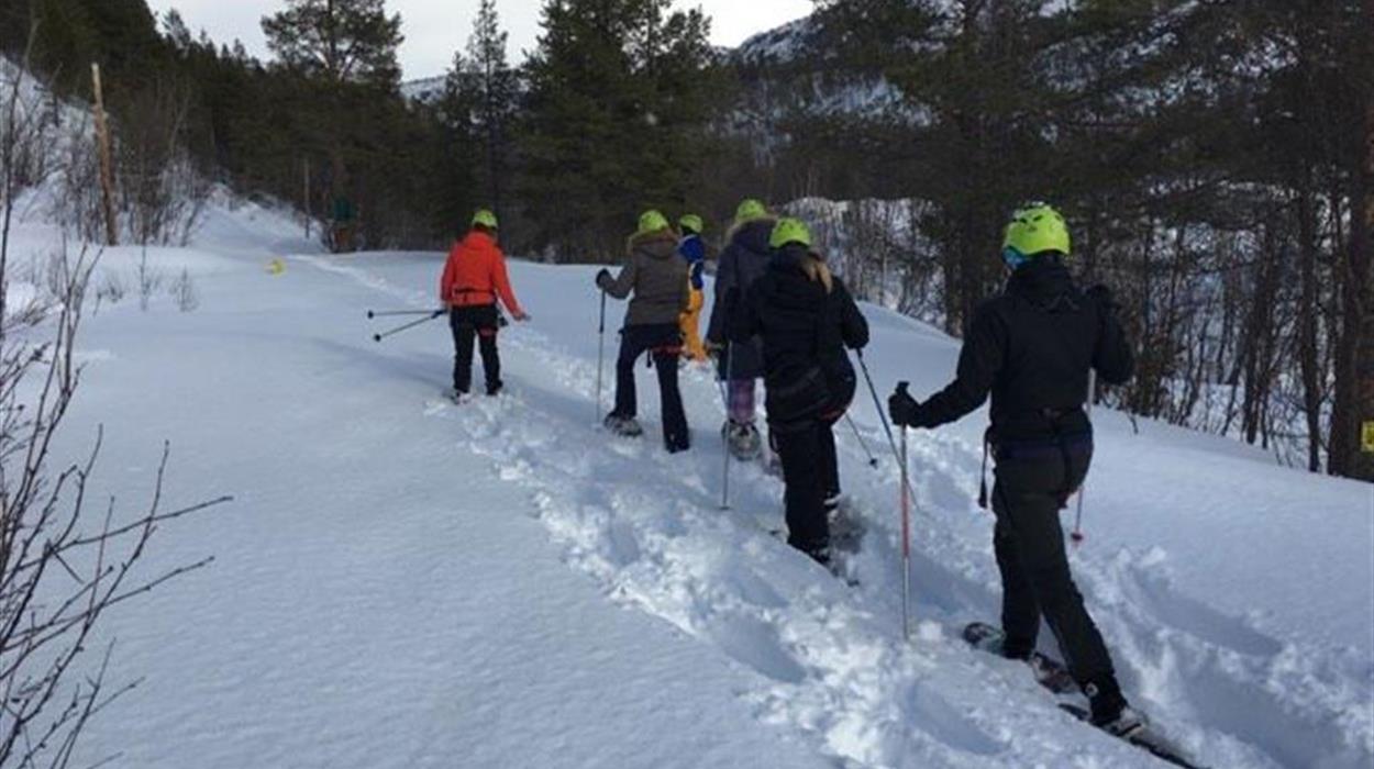 Snowshoe Tour at Bjornfjell Lodge