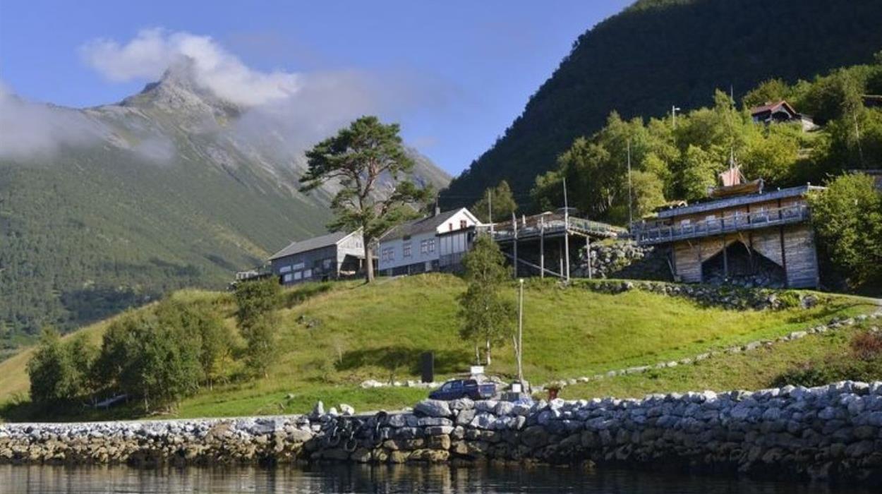 Visit a Family Fjord Farm