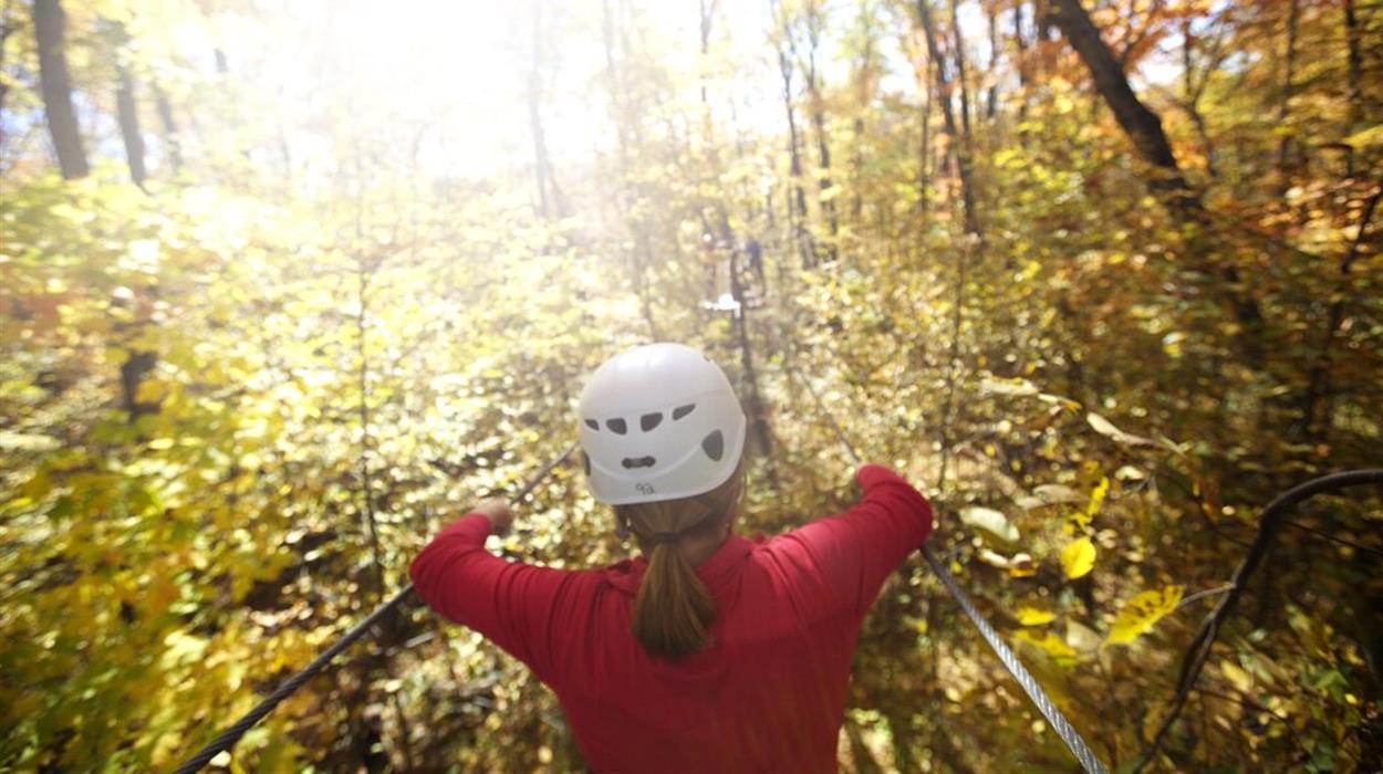 Haliburton Forest Reserve Canopy Tour