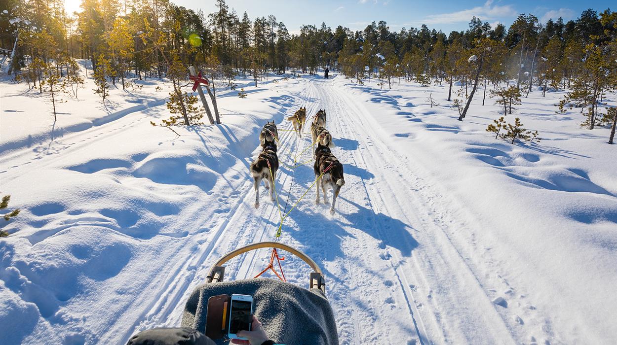Husky Safari and Reindeer Day (Nangu)