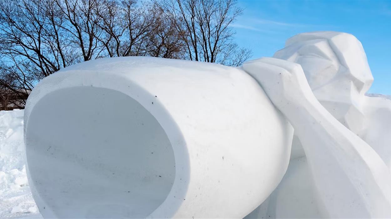 Ice & Snow Sculpting