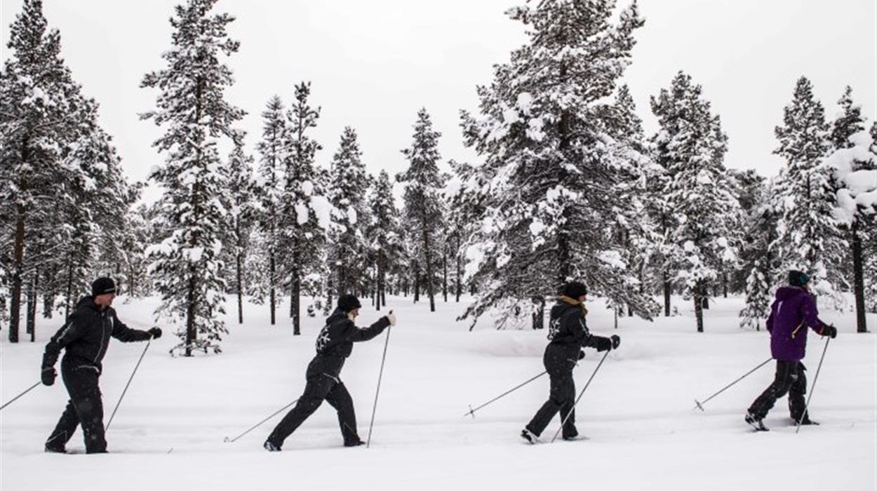 Cross-Country Ski Tour at ICEHOTEL