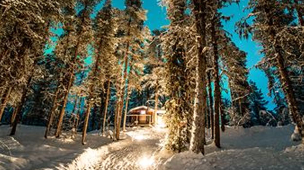 Northern Lights Wilderness Dinner