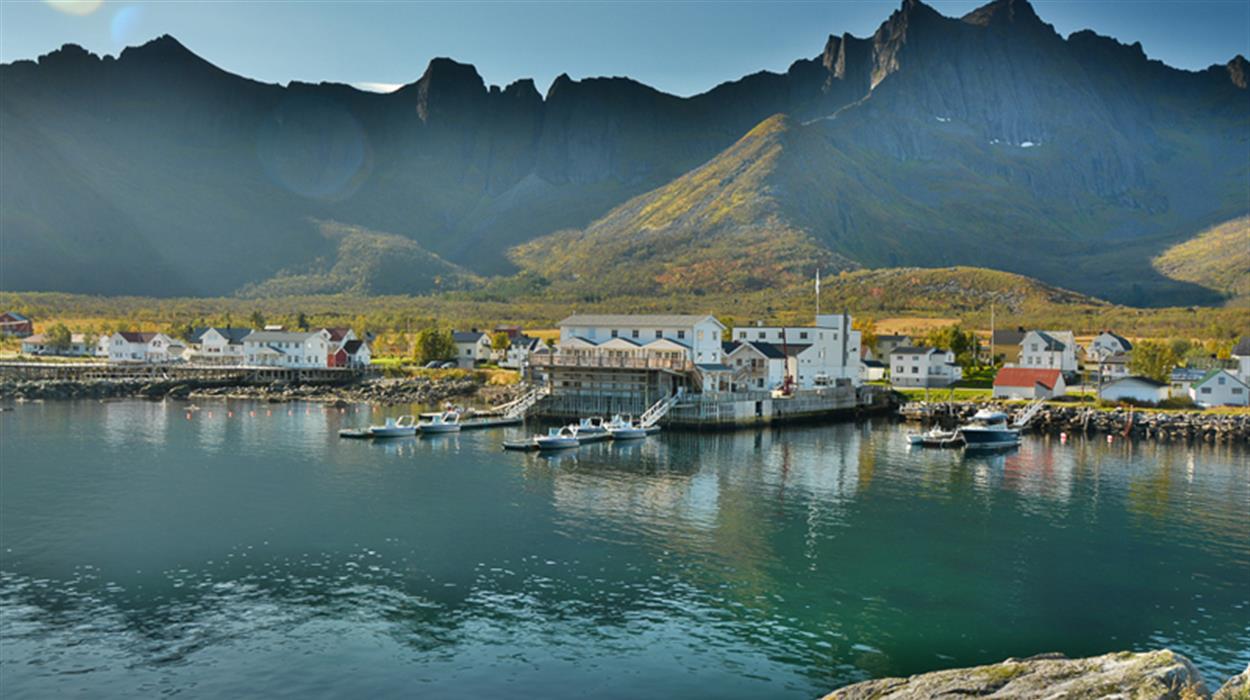 Mefjord Brygge