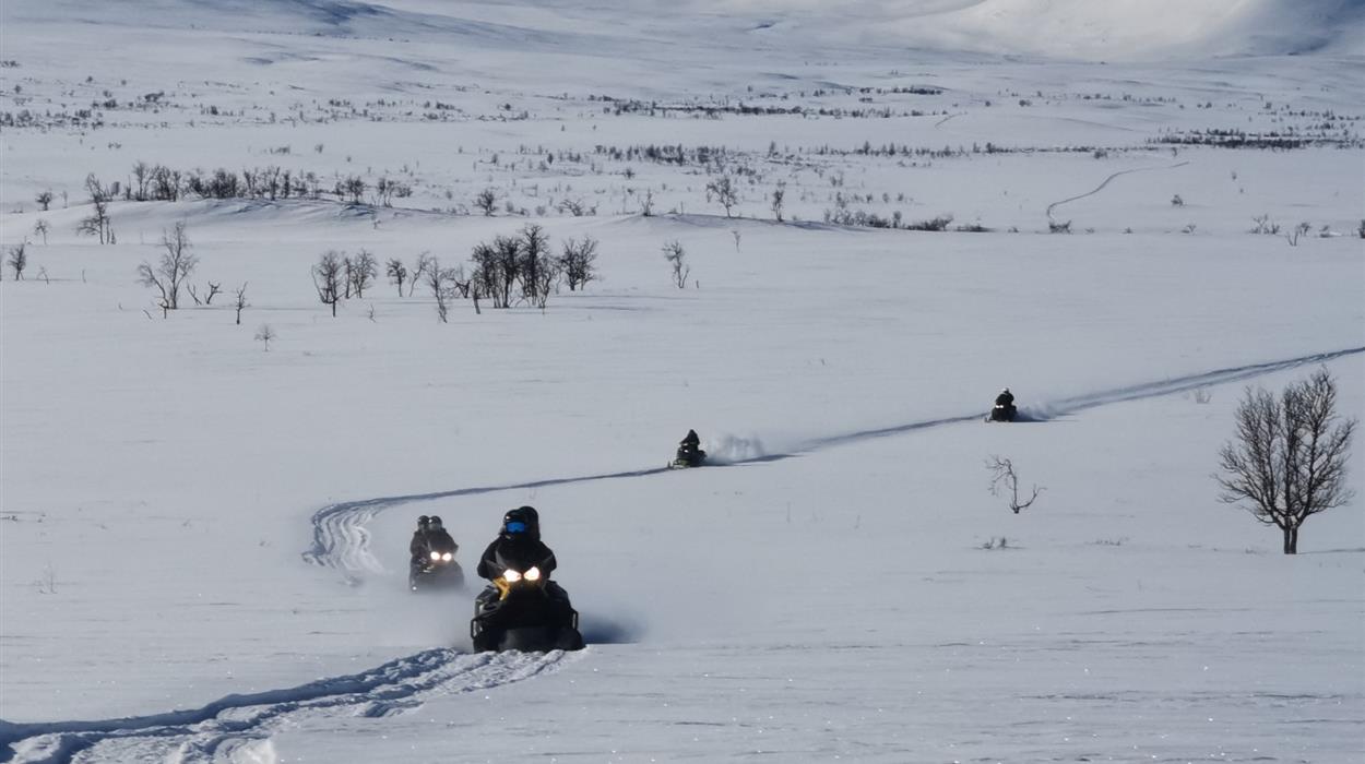 Views over Lapland Snowmobile Safari