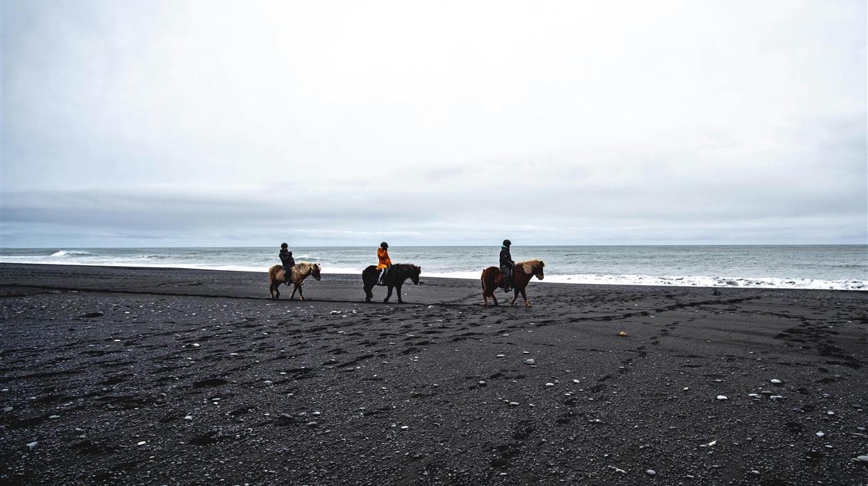 Black Beach Riding Tour