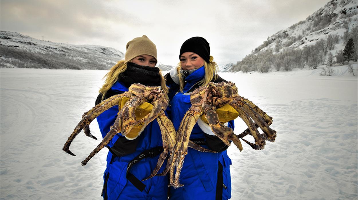 Winter King Crab Safari (Kirkenes)
