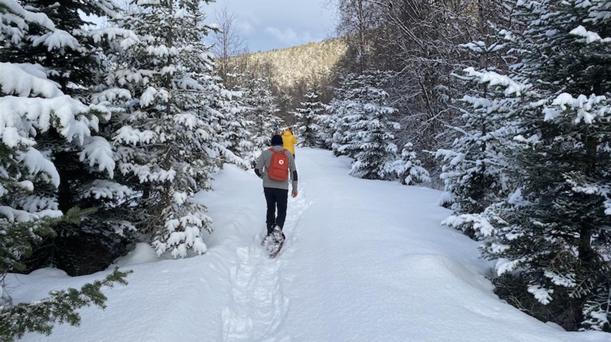 Snow Shoe Walk from Sorrisniva