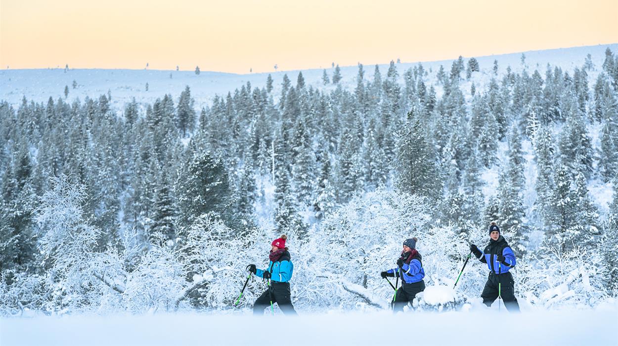 Snowshoeing Adventure (Nellim)