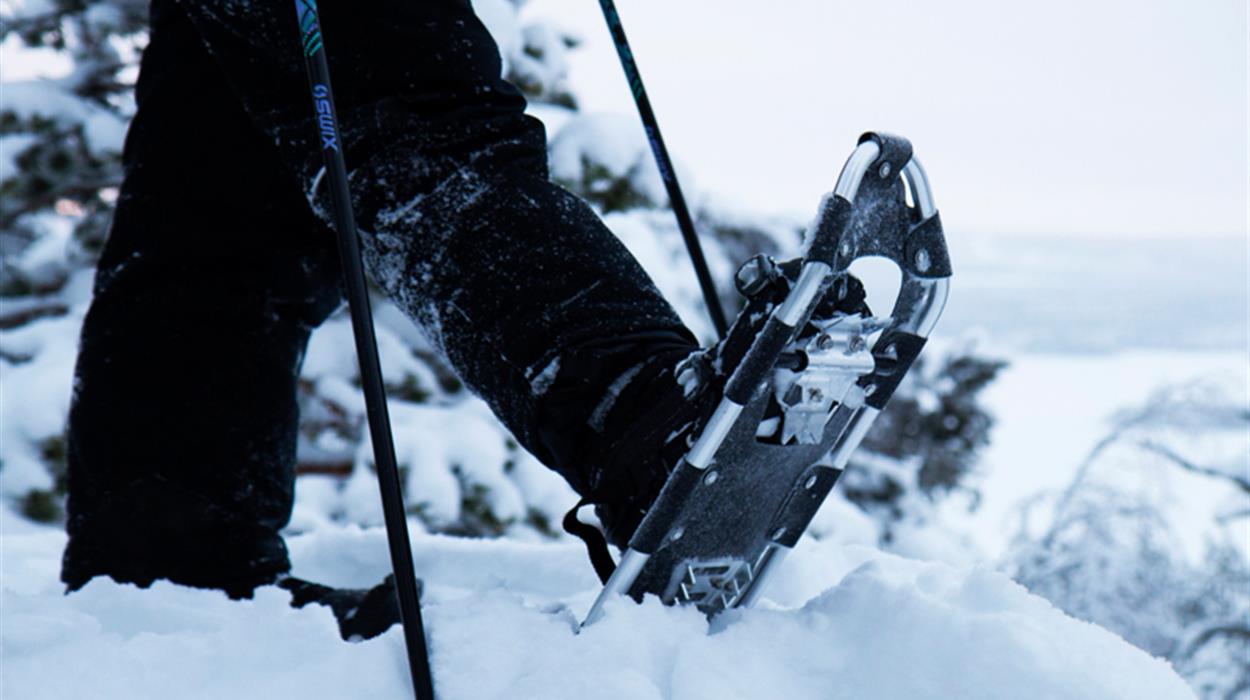 Northern Light Snowshoe Walk