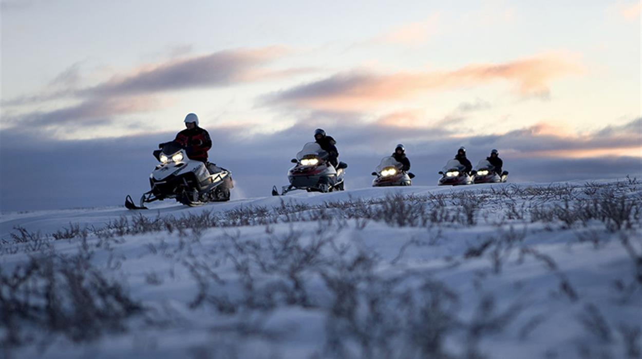Arctic Light Snowmobile Experience at Sorrisniva
