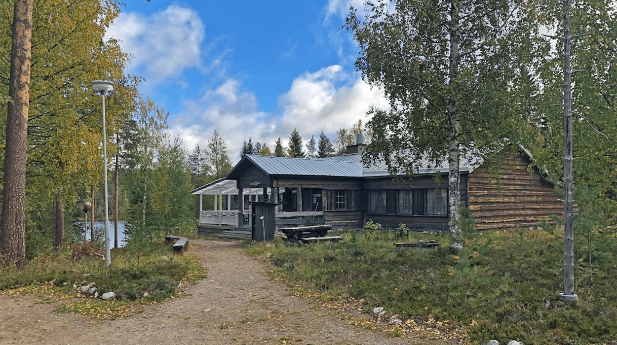 Wild Brown Bear Centre